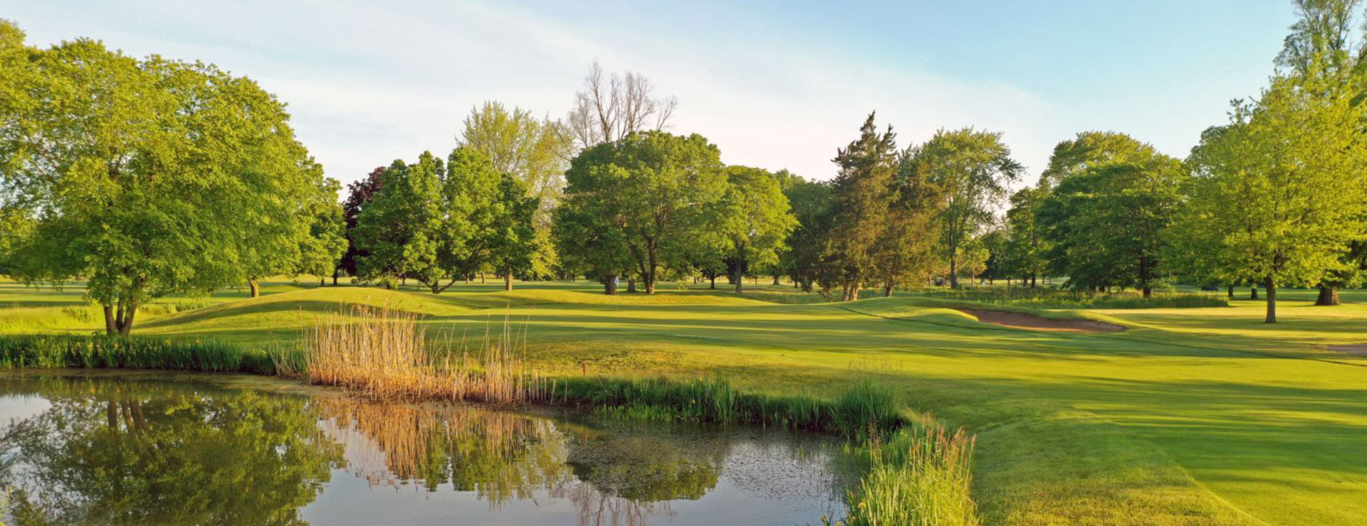 Image of golf ball on tee on grass.